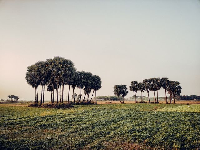 Indian Agriculture, Soil & Climate