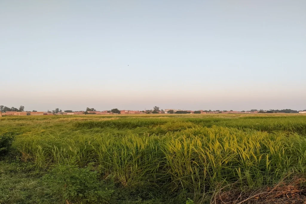 Indian village