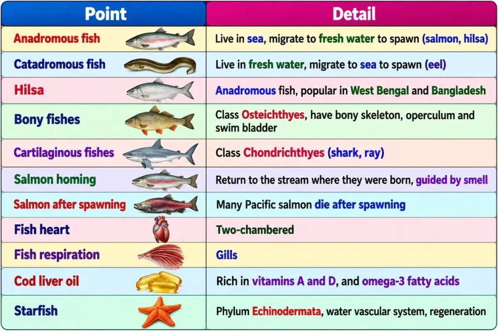 Fish Facts Educational Infographic Table