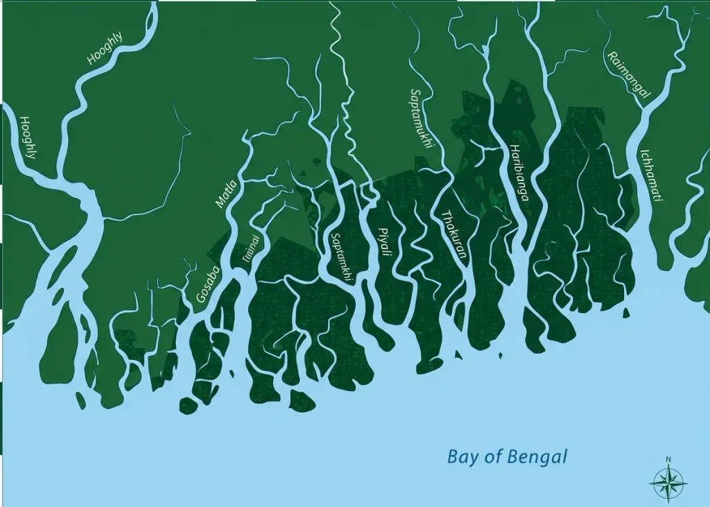 The Sundarban Drainage System